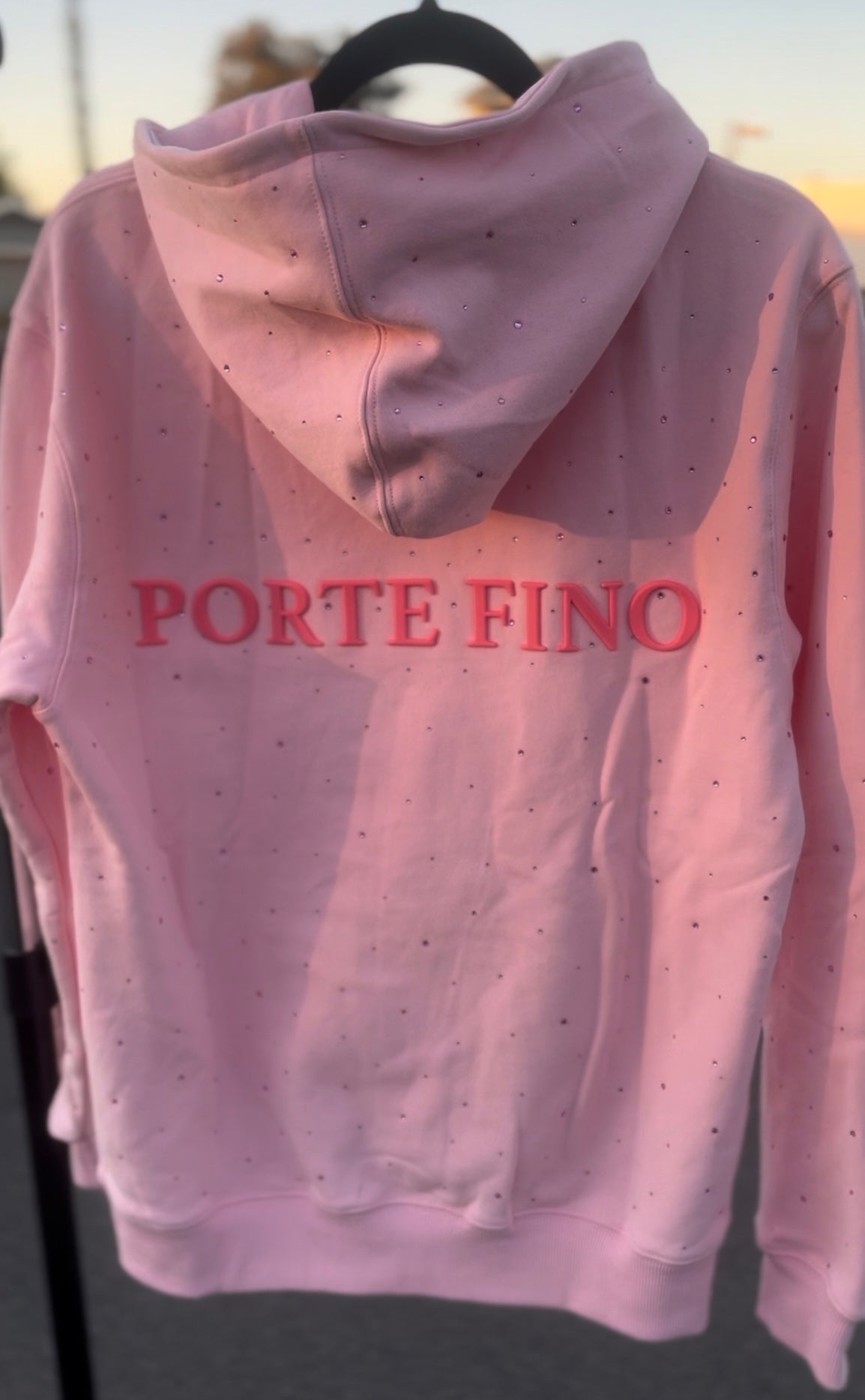 Porte Fino Pink Rhinestone Unisex Hoodie